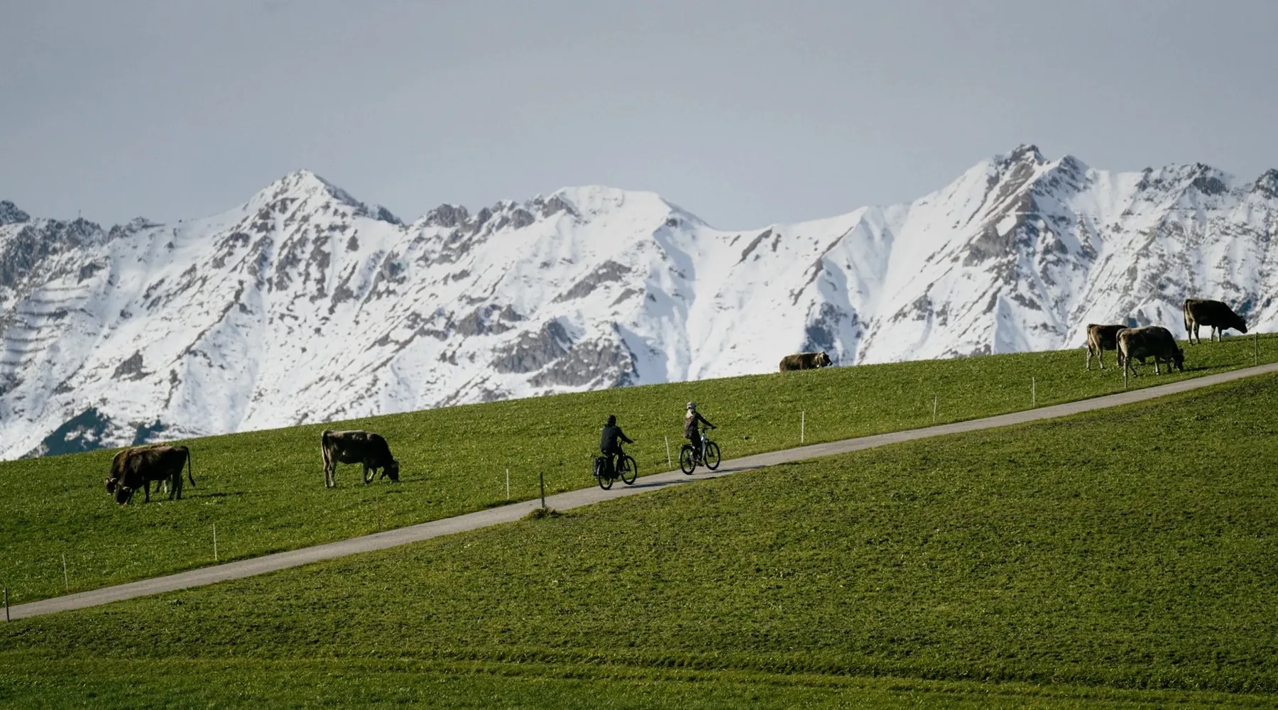 Deux cyclistes en vélo électrique sur une route de montagne